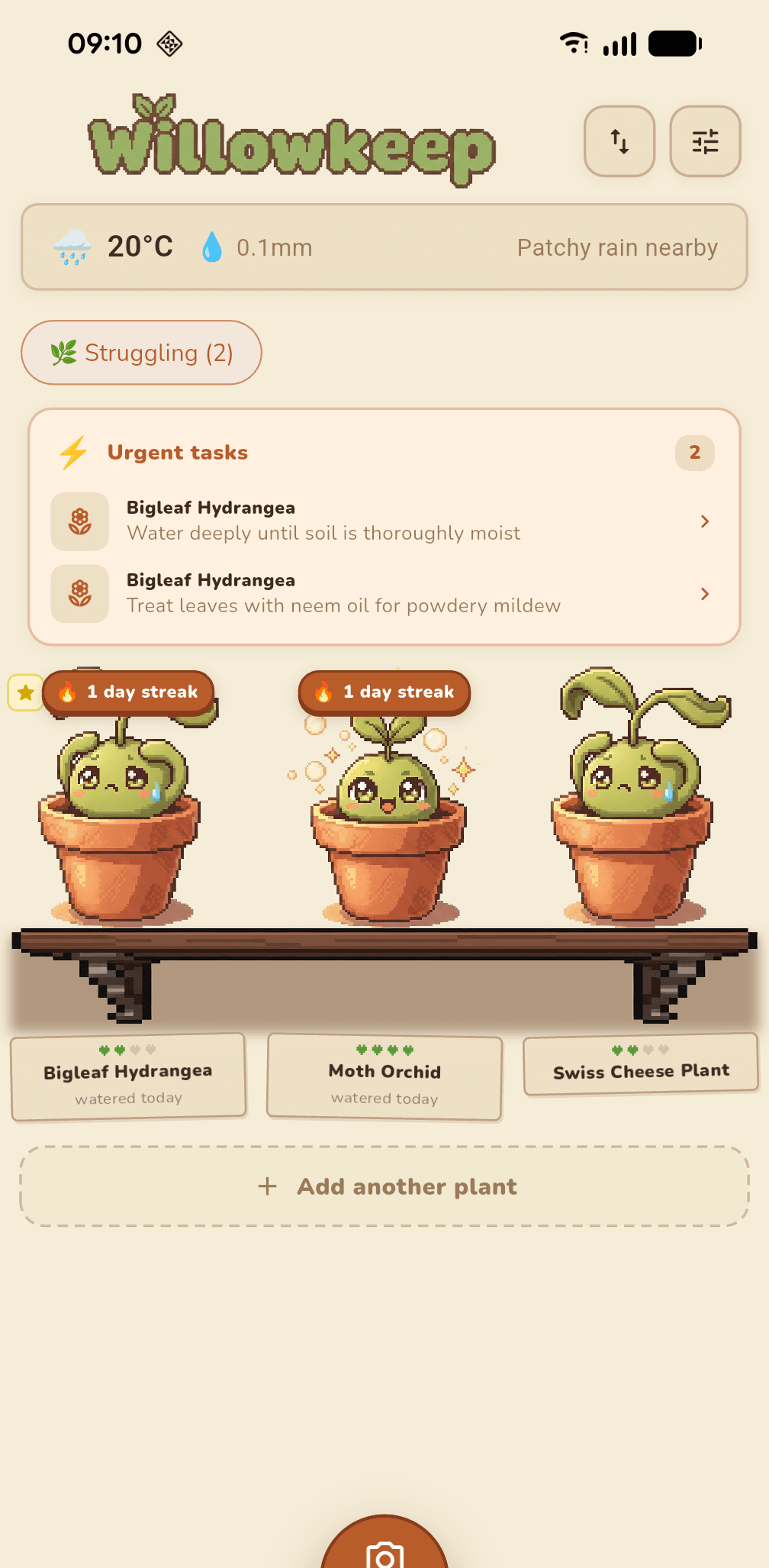 Dashboard showing three pixel-art plants on a wooden shelf