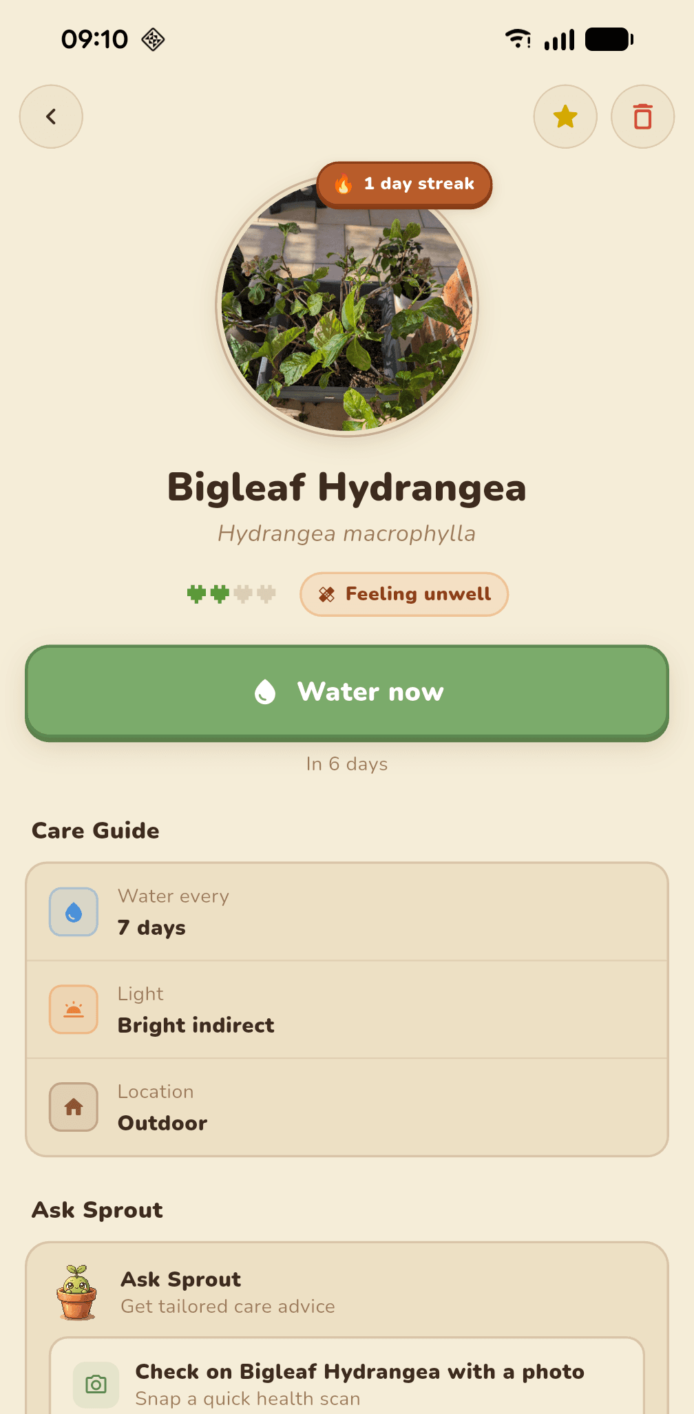 Bigleaf Hydrangea detail showing care guide and Ask Sprout panel