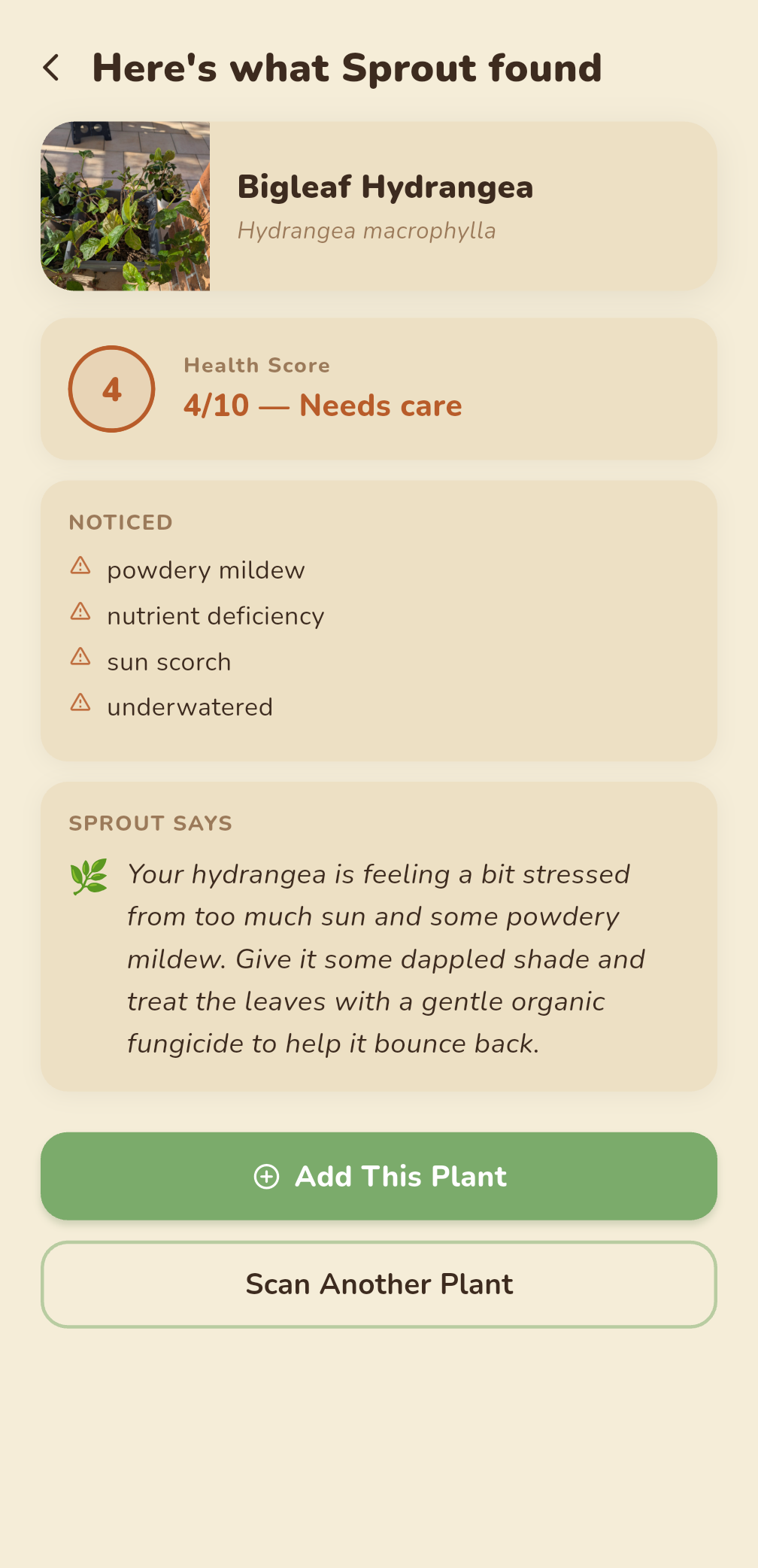 Scan result for Heavenly bamboo with a 6 out of 10 health score and noticed issues